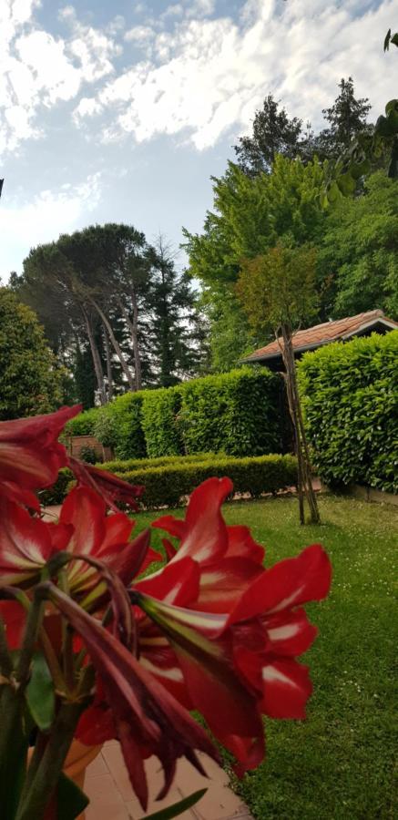 Willa La Casa Di Gigliola Monticiano Zewnętrze zdjęcie
