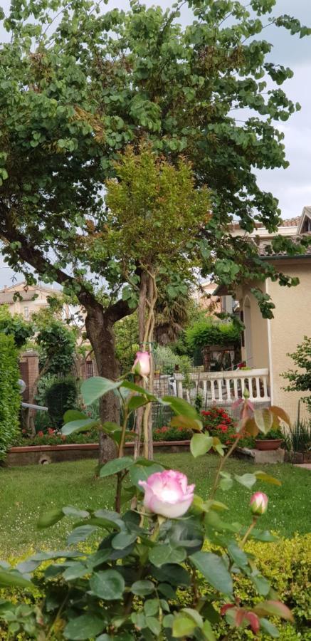 Willa La Casa Di Gigliola Monticiano Zewnętrze zdjęcie
